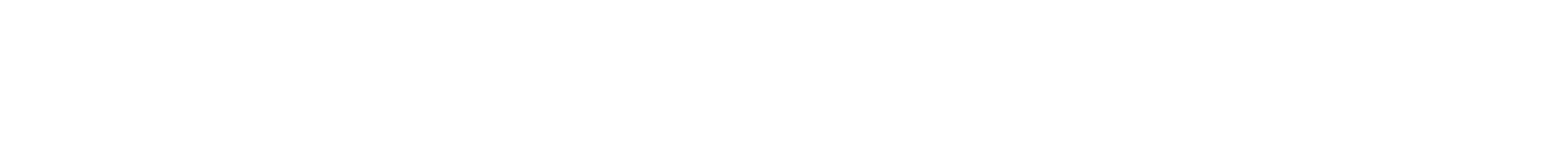 dutysolestore